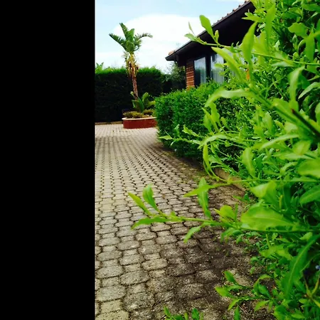 Il Patio Aparthotel 2*
